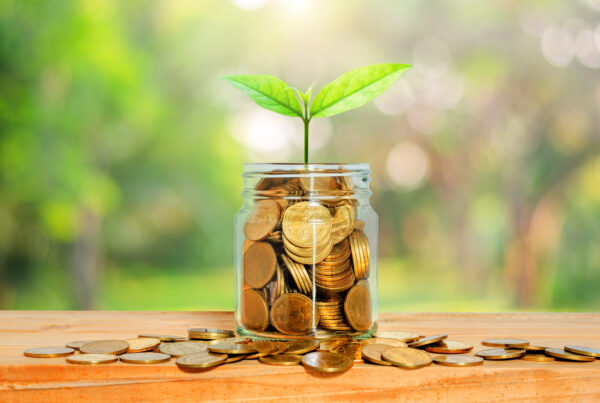 green plant grow on golden coin in glass jar with money on wood